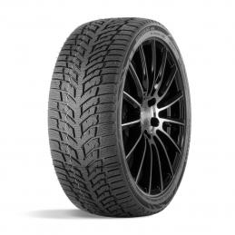 Doublestar Winterking DW08 225/45R17 94H